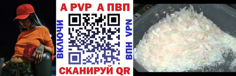 где купить   Бородино  А ПВП СК 