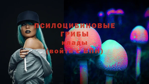 меф Белокуриха