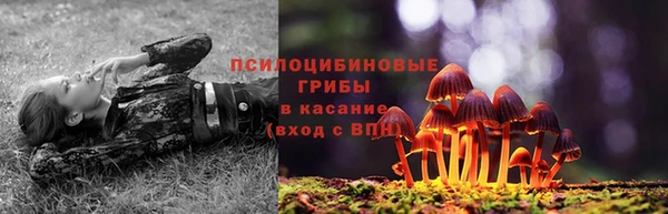 меф Белокуриха