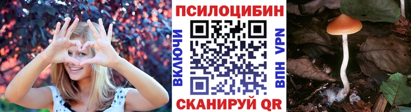мориарти какой сайт  Бородино  Галлюциногенные грибы GOLDEN TEACHER  купить закладку 